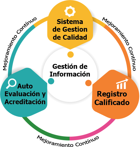 Sistema Interno De Aseguramiento De La Calidad Fundación